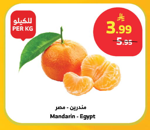 Mandarin from Egypt available at الراية in مملكة العربية السعودية, السعودية, سعودية - مكة المكرمة