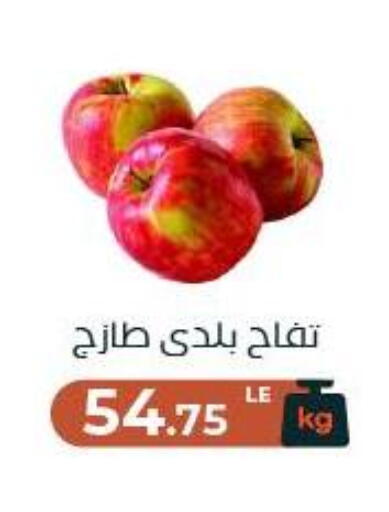 available at Arafa Market in Egypt - Cairo