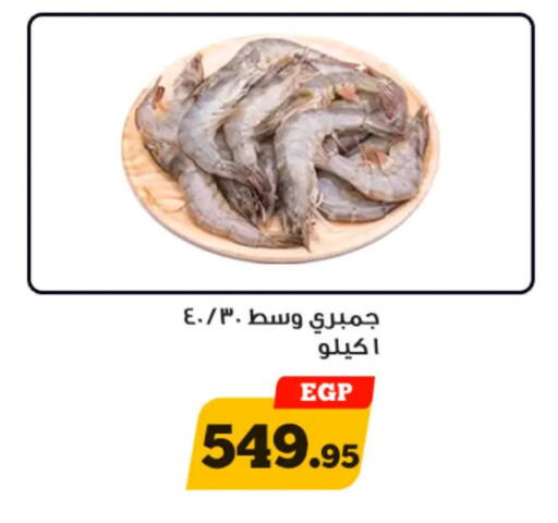 available at أولاد رجب in Egypt - القاهرة