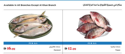 available at Trolleys Supermarket in UAE - Dubai