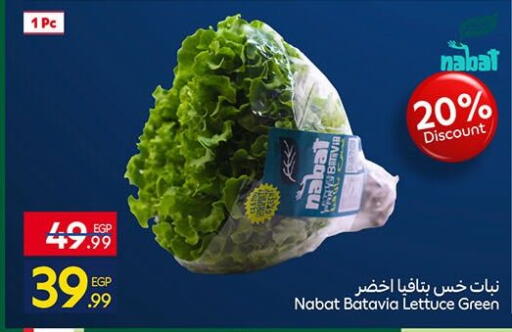 Lettuce available at Carrefour  in Egypt - Cairo