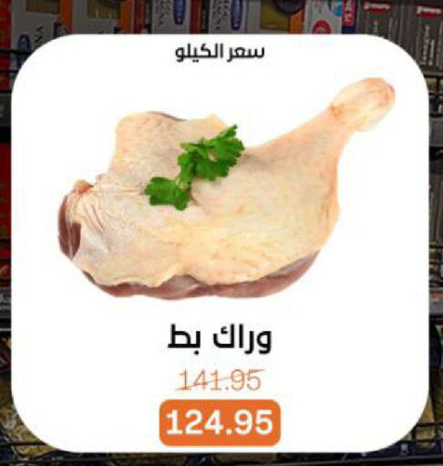 available at بيت الجملة in Egypt - القاهرة