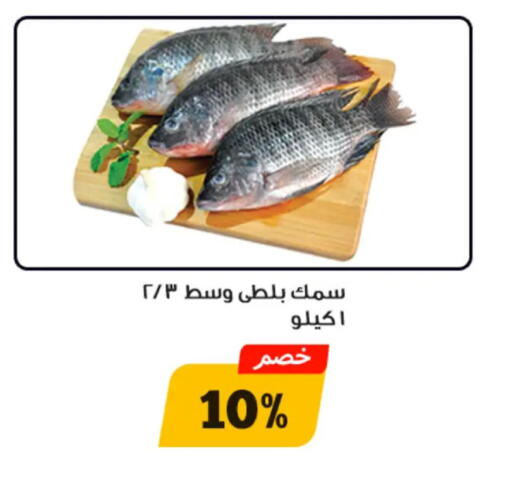 available at أولاد رجب in Egypt - القاهرة