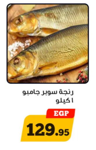 available at Awlad Ragab in Egypt - Cairo