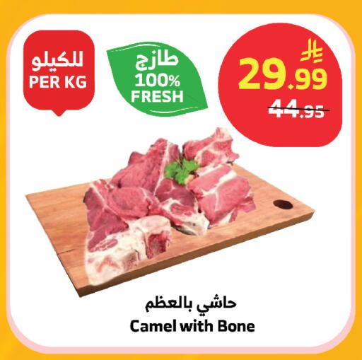 available at الراية in مملكة العربية السعودية, السعودية, سعودية - مكة المكرمة