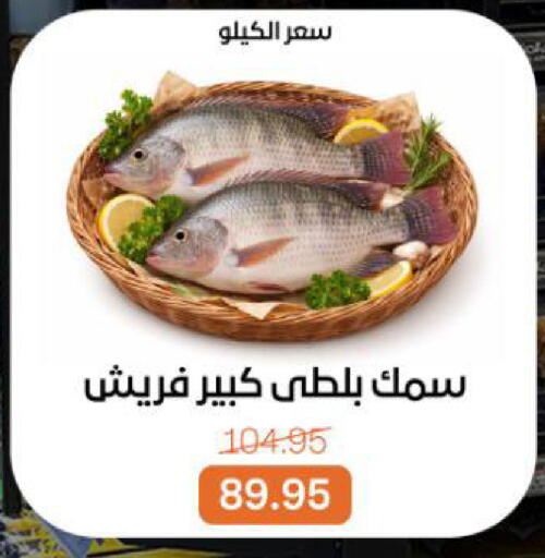 available at بيت الجملة in Egypt - القاهرة