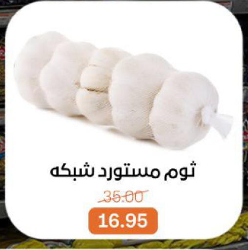 available at بيت الجملة in Egypt - القاهرة