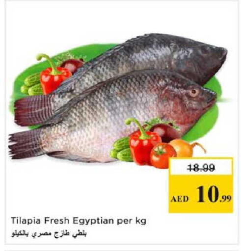 available at نستو هايبرماركت in الإمارات العربية المتحدة , الامارات - رَأْس ٱلْخَيْمَة