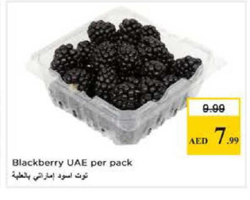 Blackberry available at Nesto Hypermarket in UAE - Dubai