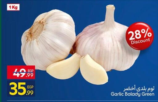 Garlic available at Carrefour  in Egypt - Cairo
