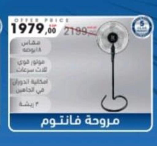 available at El mhallawy Sons in Egypt - Cairo