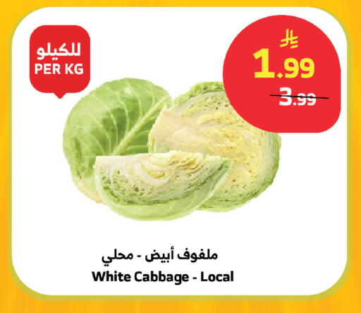 Cabbage available at الراية in مملكة العربية السعودية, السعودية, سعودية - مكة المكرمة