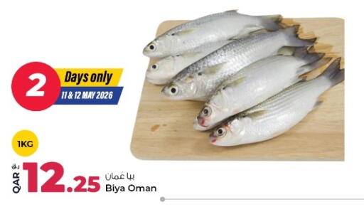 available at روابي هايبرماركت in قطر - الوكرة