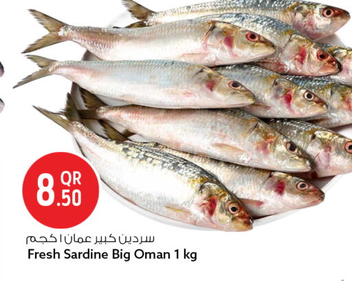 available at سفاري هايبر ماركت in قطر - الدوحة