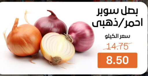 available at بيت الجملة in Egypt - القاهرة