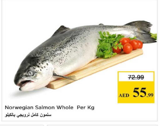 available at Nesto Hypermarket in UAE - Dubai