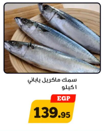 available at أولاد رجب in Egypt - القاهرة