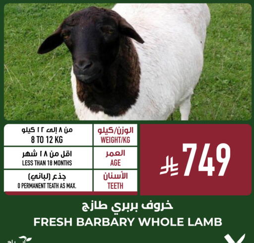 available at أبراج هايبر ماركت in مملكة العربية السعودية, السعودية, سعودية - مكة المكرمة