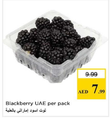 Blackberry available at Nesto Hypermarket in UAE - Dubai