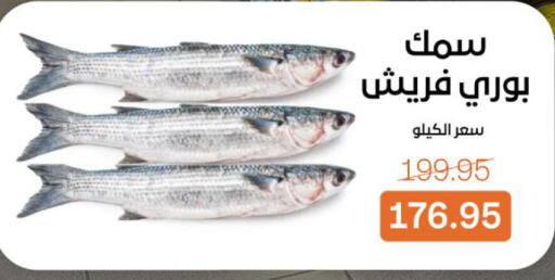 available at بيت الجملة in Egypt - القاهرة
