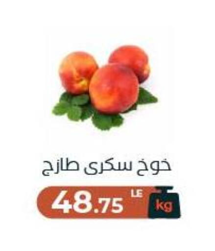available at Arafa Market in Egypt - Cairo