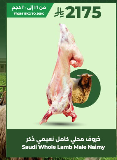 available at LULU Hypermarket in KSA, Saudi Arabia, Saudi - Al-Kharj