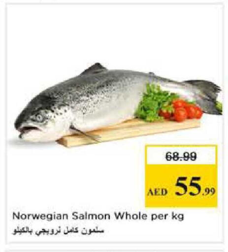 available at Nesto Hypermarket in UAE - Abu Dhabi