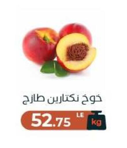 available at Arafa Market in Egypt - Cairo