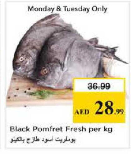 available at Nesto Hypermarket in UAE - Sharjah / Ajman