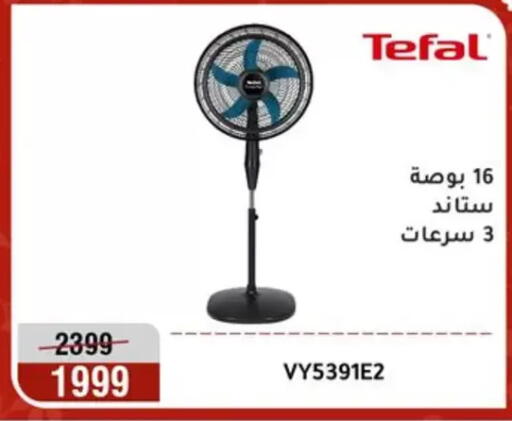 available at المرشدي in Egypt - القاهرة