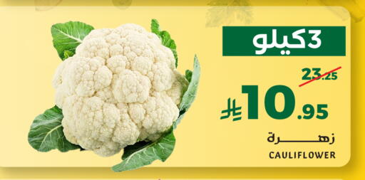 Cauliflower available at ميرا مارت مول in مملكة العربية السعودية, السعودية, سعودية - جدة