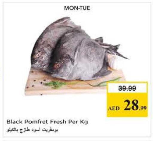 available at Nesto Hypermarket in UAE - Dubai