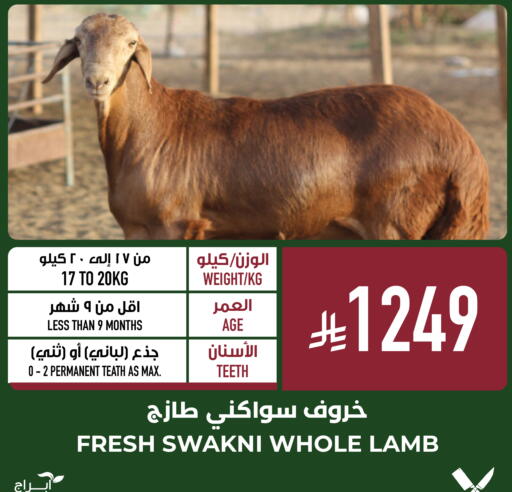 available at أبراج هايبر ماركت in مملكة العربية السعودية, السعودية, سعودية - مكة المكرمة