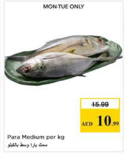 available at Nesto Hypermarket in UAE - Abu Dhabi