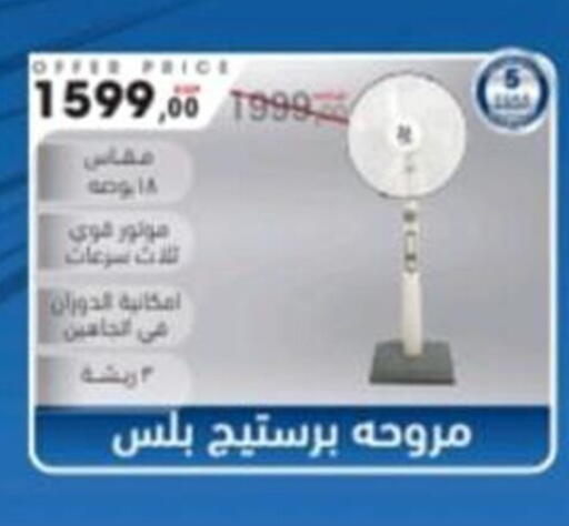 available at El mhallawy Sons in Egypt - Cairo