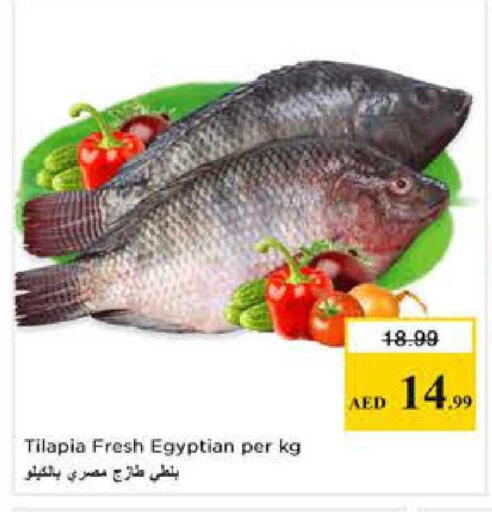 available at Nesto Hypermarket in UAE - Dubai