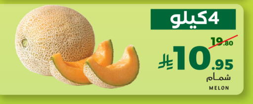 Melon available at ميرا مارت مول in مملكة العربية السعودية, السعودية, سعودية - جدة