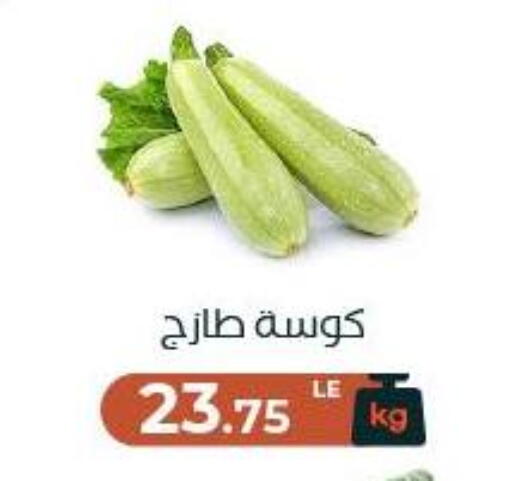 available at Arafa Market in Egypt - Cairo