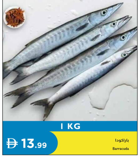 available at Istanbul Supermarket in UAE - Dubai