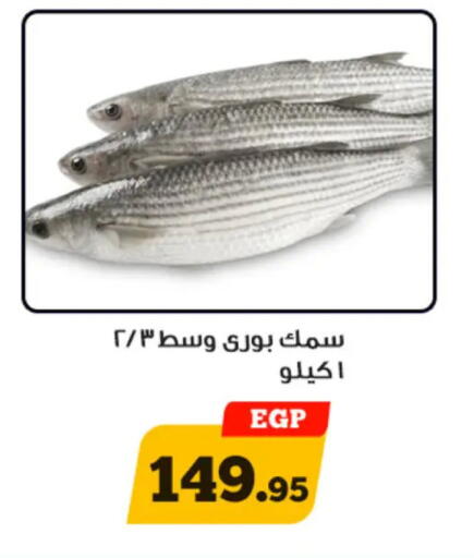 available at أولاد رجب in Egypt - القاهرة