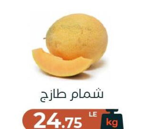 available at Arafa Market in Egypt - Cairo