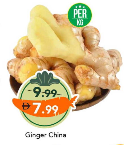 Ginger from China available at مارك & سيف in الإمارات العربية المتحدة , الامارات - دبي