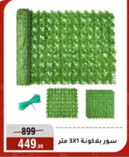 available at المرشدي in Egypt - القاهرة