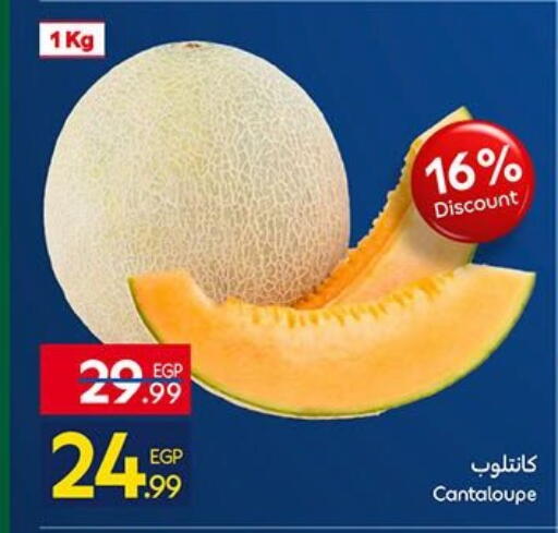 Cantaloupe available at كارفور in Egypt - القاهرة