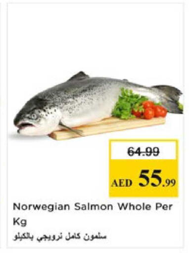 available at Nesto Hypermarket in UAE - Al Ain