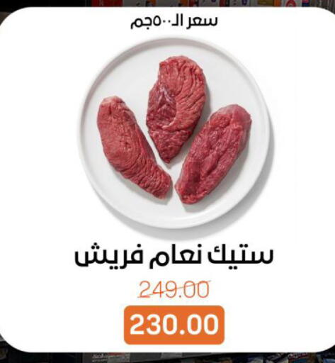 available at بيت الجملة in Egypt - القاهرة