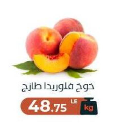 available at Arafa Market in Egypt - Cairo