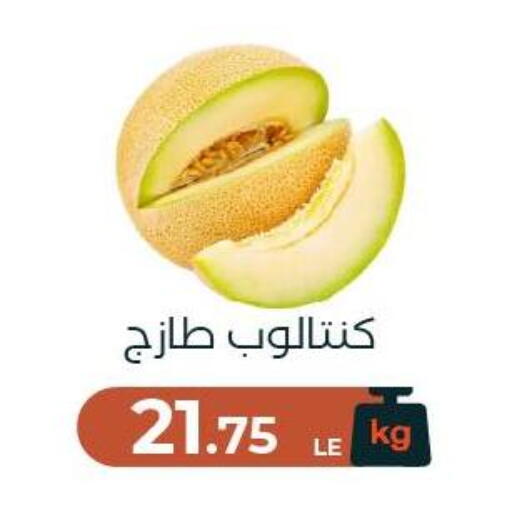 available at Arafa Market in Egypt - Cairo