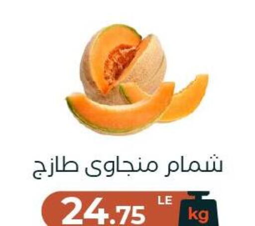 available at Arafa Market in Egypt - Cairo