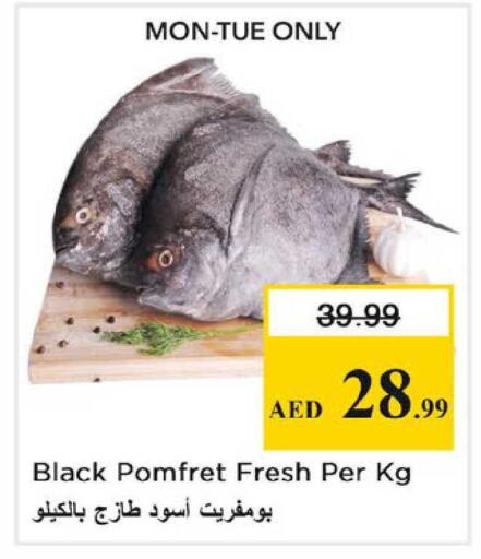 available at Nesto Hypermarket in UAE - Dubai